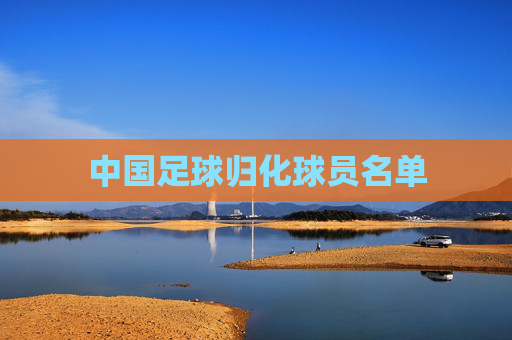 中国足球归化球员名单