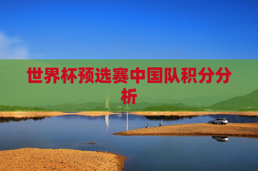 世界杯预选赛中国队积分分析