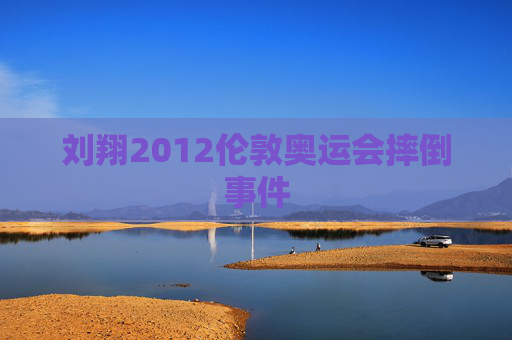 刘翔2012伦敦奥运会摔倒事件