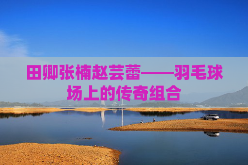 田卿张楠赵芸蕾——羽毛球场上的传奇组合
