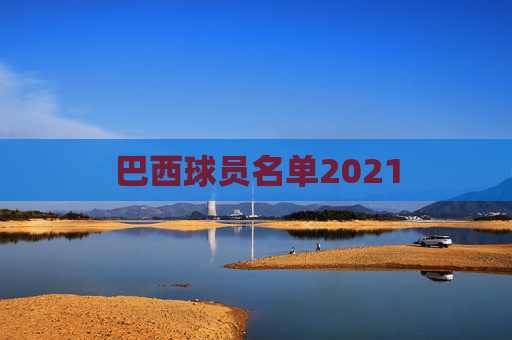 巴西球员名单2021
