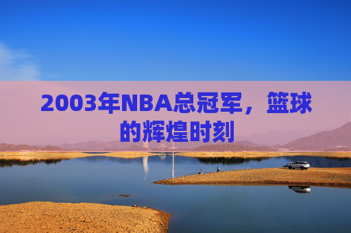 2003年NBA总冠军，篮球的辉煌时刻