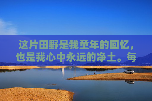这片田野是我童年的回忆，也是我心中永远的净土。每当我回想起那些与家人一起在田间劳作的日子，心中总是涌起一股暖流。那时的我们，虽然生活条件艰苦，但那份纯真的笑容和对生活的热爱却让我们觉得无比幸福
