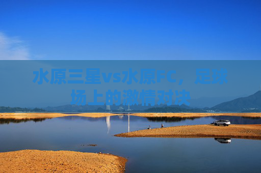 水原三星vs水原FC，足球场上的激情对决