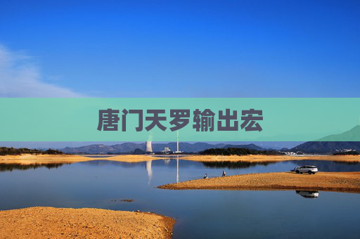 唐门天罗输出宏