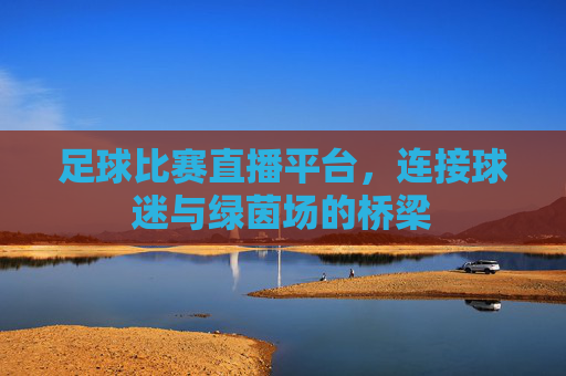 足球比赛直播平台，连接球迷与绿茵场的桥梁