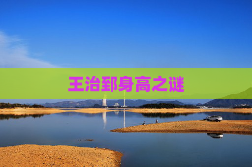 王治郅身高之谜