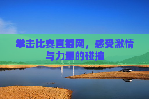 拳击比赛直播网，感受激情与力量的碰撞