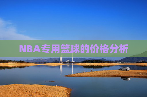 NBA专用篮球的价格分析