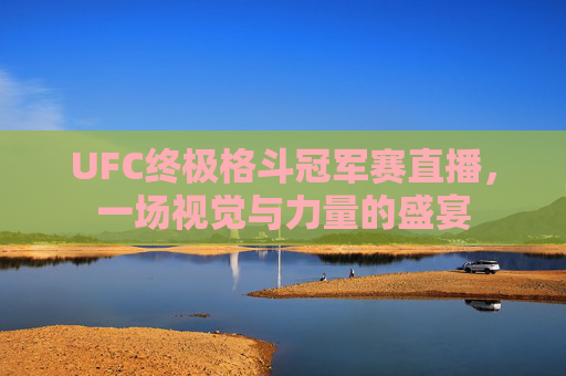 UFC终极格斗冠军赛直播，一场视觉与力量的盛宴