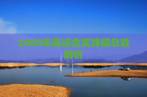 2008年奥运会奖牌榜总数解析