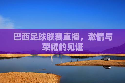 巴西足球联赛直播，激情与荣耀的见证