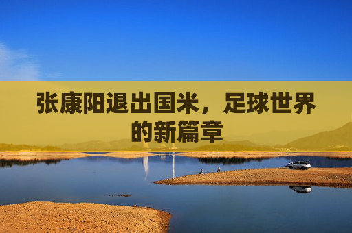 张康阳退出国米，足球世界的新篇章