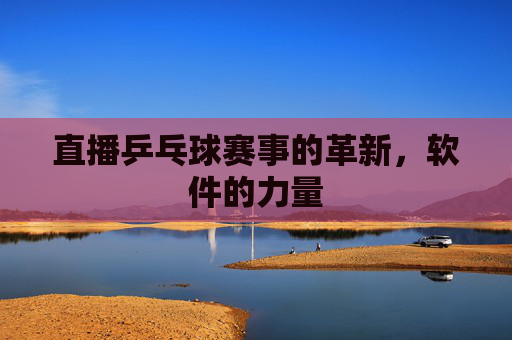 直播乒乓球赛事的革新，软件的力量