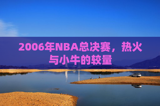 2006年NBA总决赛，热火与小牛的较量