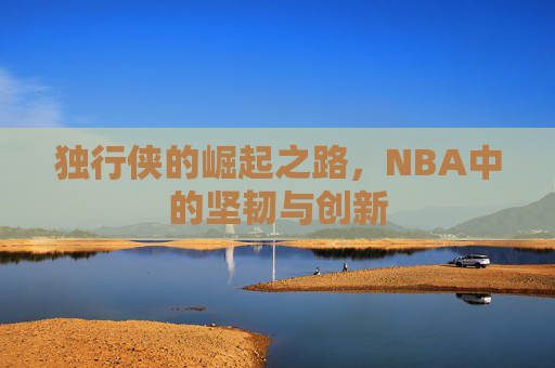 独行侠的崛起之路，NBA中的坚韧与创新