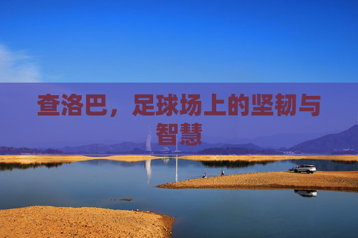 查洛巴，足球场上的坚韧与智慧