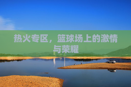 热火专区，篮球场上的激情与荣耀