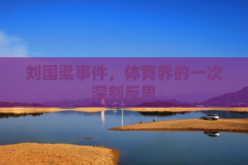 刘国梁事件，体育界的一次深刻反思