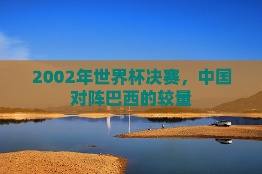2002年世界杯决赛，中国对阵巴西的较量