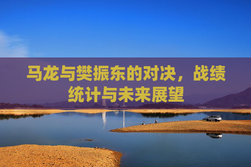 马龙与樊振东的对决，战绩统计与未来展望