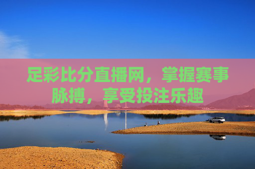 足彩比分直播网，掌握赛事脉搏，享受投注乐趣