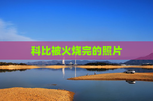 科比被火烧完的照片