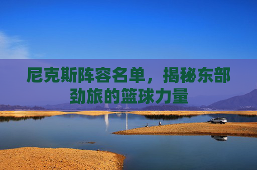 尼克斯阵容名单，揭秘东部劲旅的篮球力量
