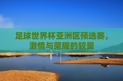 足球世界杯亚洲区预选赛，激情与荣耀的较量