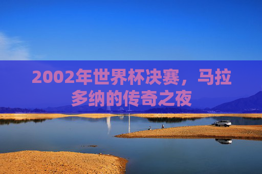 2002年世界杯决赛，马拉多纳的传奇之夜