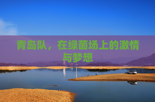 青岛队，在绿茵场上的激情与梦想