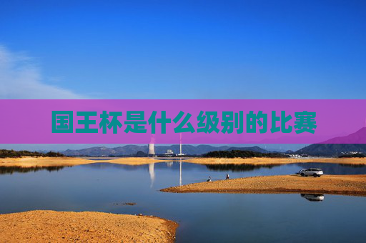 国王杯是什么级别的比赛