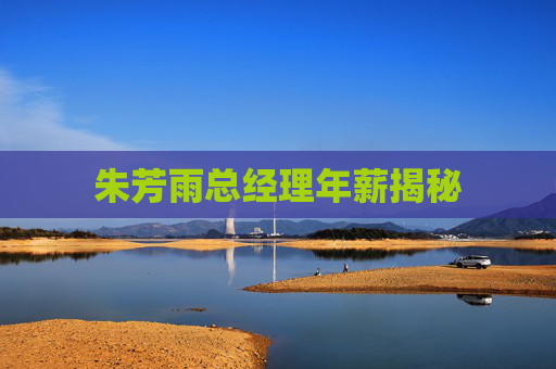 朱芳雨总经理年薪揭秘