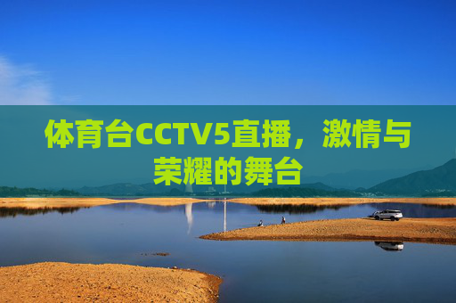 体育台CCTV5直播，激情与荣耀的舞台