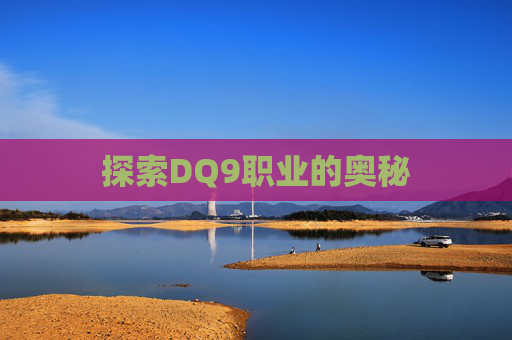 探索DQ9职业的奥秘 探索DQ9职业的奥秘