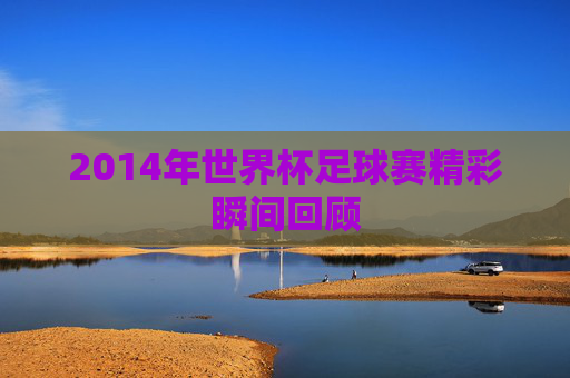2014年世界杯足球赛精彩瞬间回顾