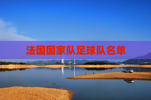 法国国家队足球队名单