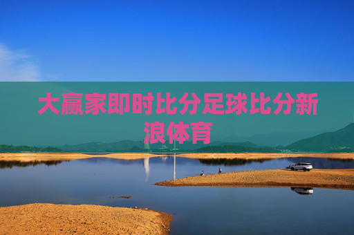 大赢家即时比分足球比分新浪体育