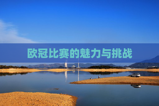 欧冠比赛的魅力与挑战