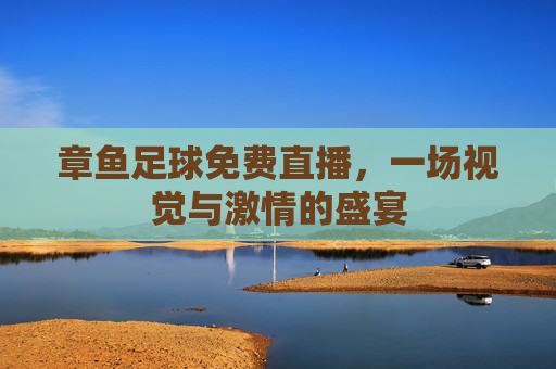章鱼足球免费直播，一场视觉与激情的盛宴