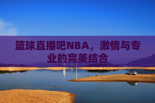 篮球直播吧NBA，激情与专业的完美结合