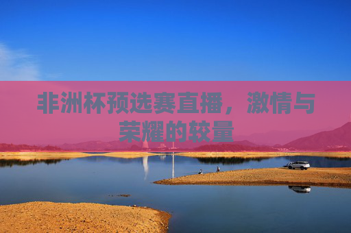非洲杯预选赛直播，激情与荣耀的较量