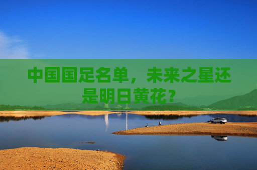 中国国足名单，未来之星还是明日黄花？