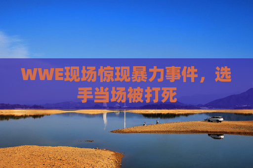 WWE现场惊现暴力事件,选手当场被打死 WWE现场惊现暴力事件,选手当场被打死