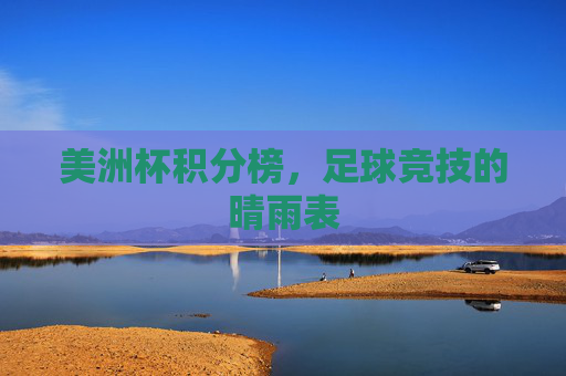 美洲杯积分榜，足球竞技的晴雨表