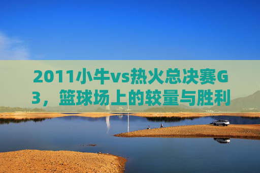 2011小牛vs热火总决赛G3，篮球场上的较量与胜利