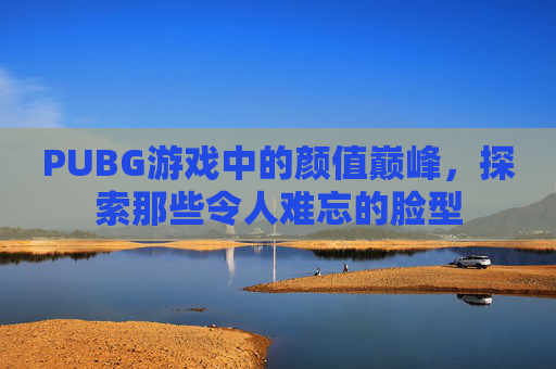 PUBG游戏中的颜值巅峰,探索那些令人难忘的脸型 PUBG游戏中的颜值巅峰,探索那些令人难忘的脸型