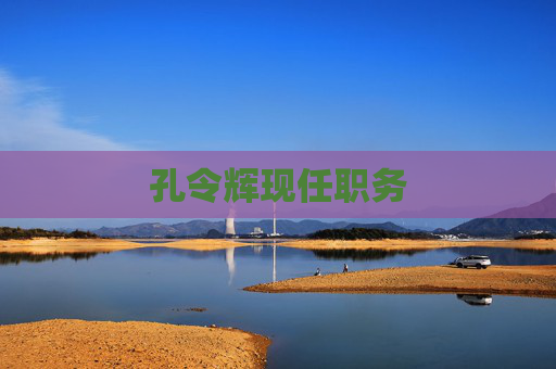孔令辉现任职务