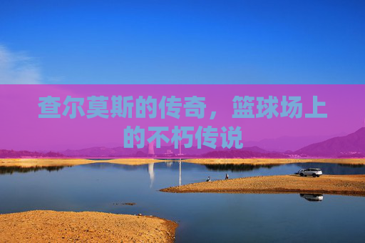 查尔莫斯的传奇,篮球场上的不朽传说 查尔莫斯的传奇,篮球场上的不朽传说