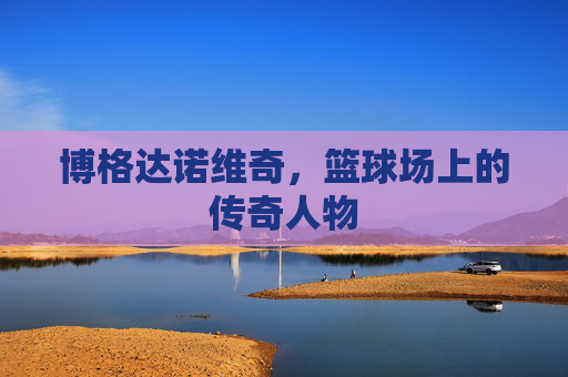 博格达诺维奇，篮球场上的传奇人物